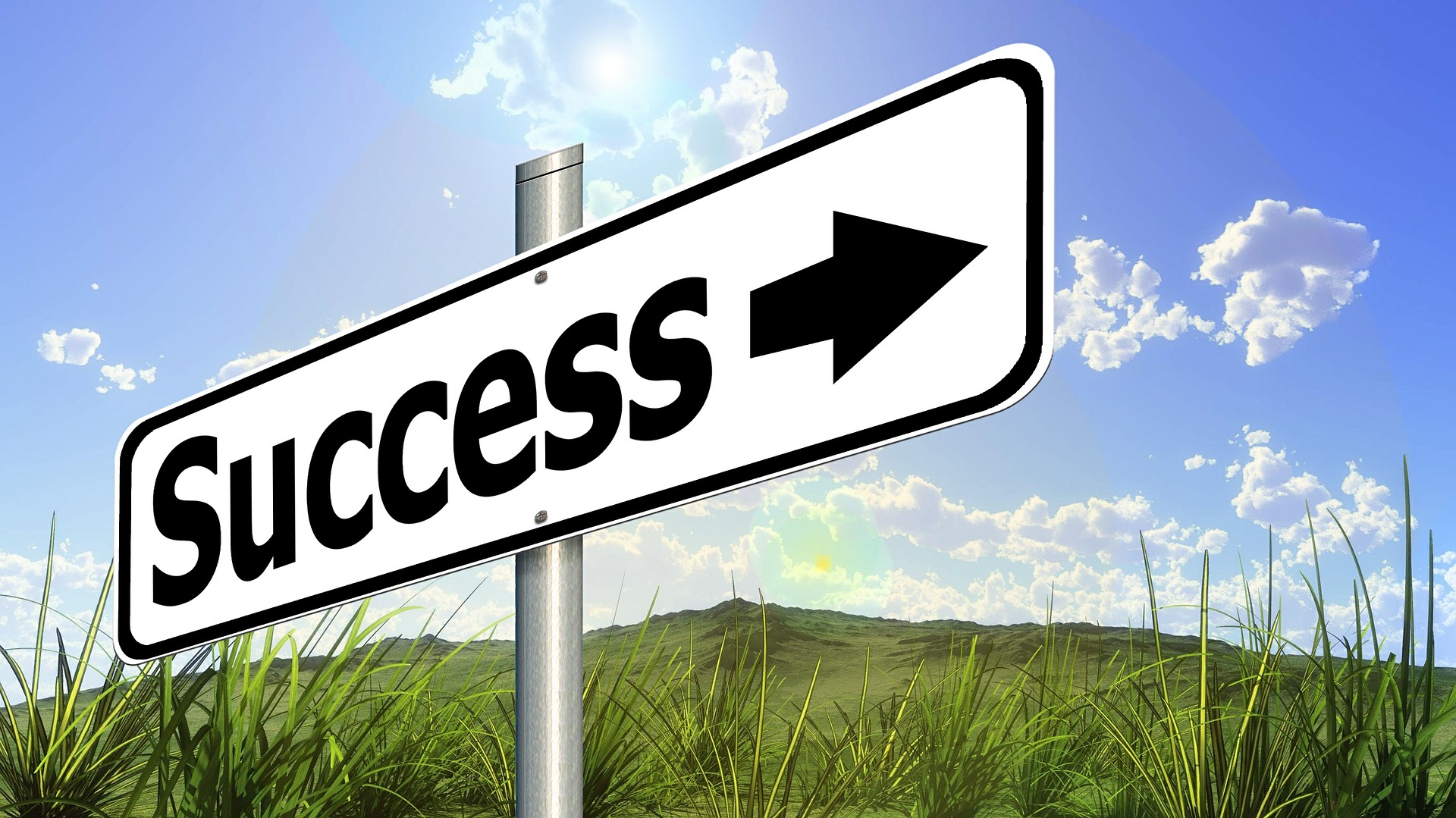 Launching, Online Business, Entity Management, Platform, Steps